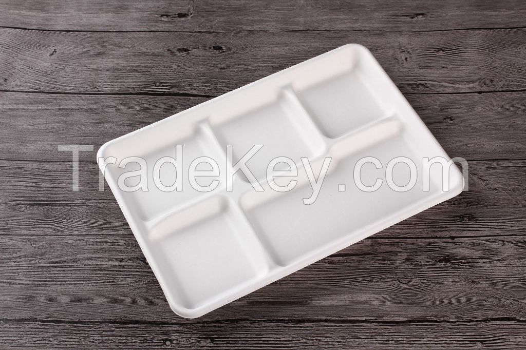 Sugarcane Disposable Food Container