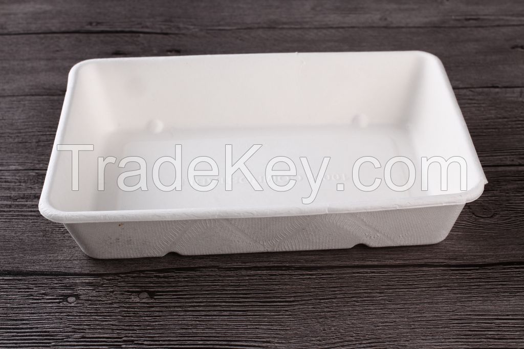 Sugarcane Disposable Food Container