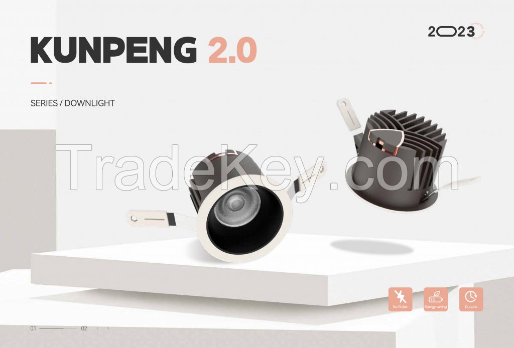 KUNPENG 2.0 DOWNLIGHT