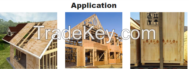 WBP Structural Pine Plywood With Knot And Without Knot For Outdoor Indoor Use 