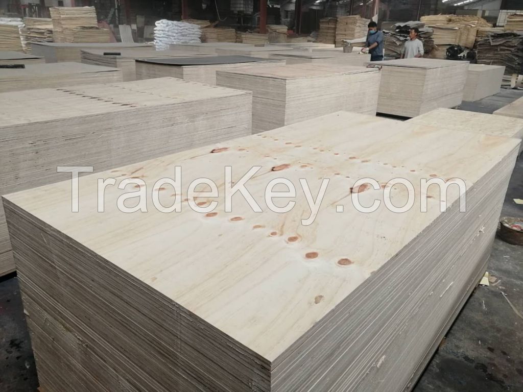 WBP Structural Pine Plywood With Knot And Without Knot For Outdoor Indoor Use 