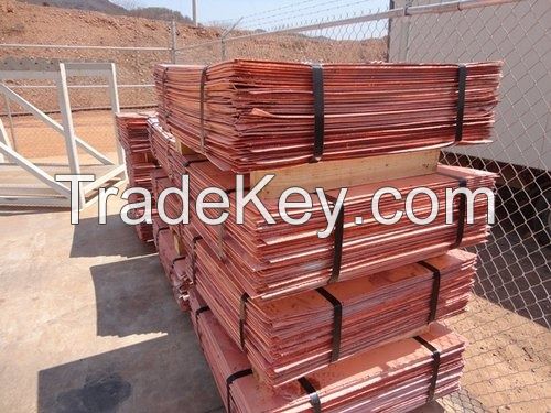 Copper Cathode LME Grade A (99.99% Purity)