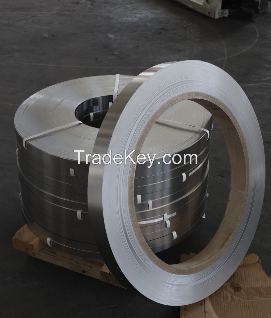 En 1.4018 ASTM A276 Stainless Steel Strip in Coil Ss A420