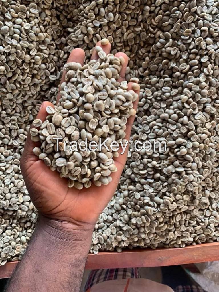 Grade AA Arabica Coffee Beans