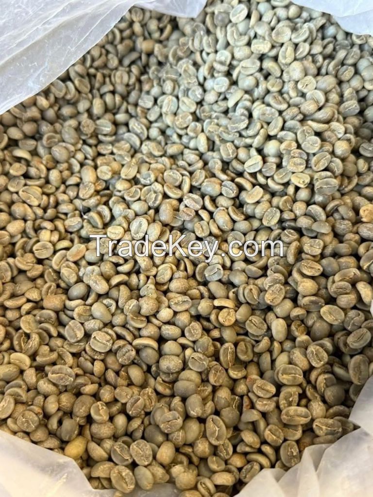 Grade AA Arabica Coffee Beans