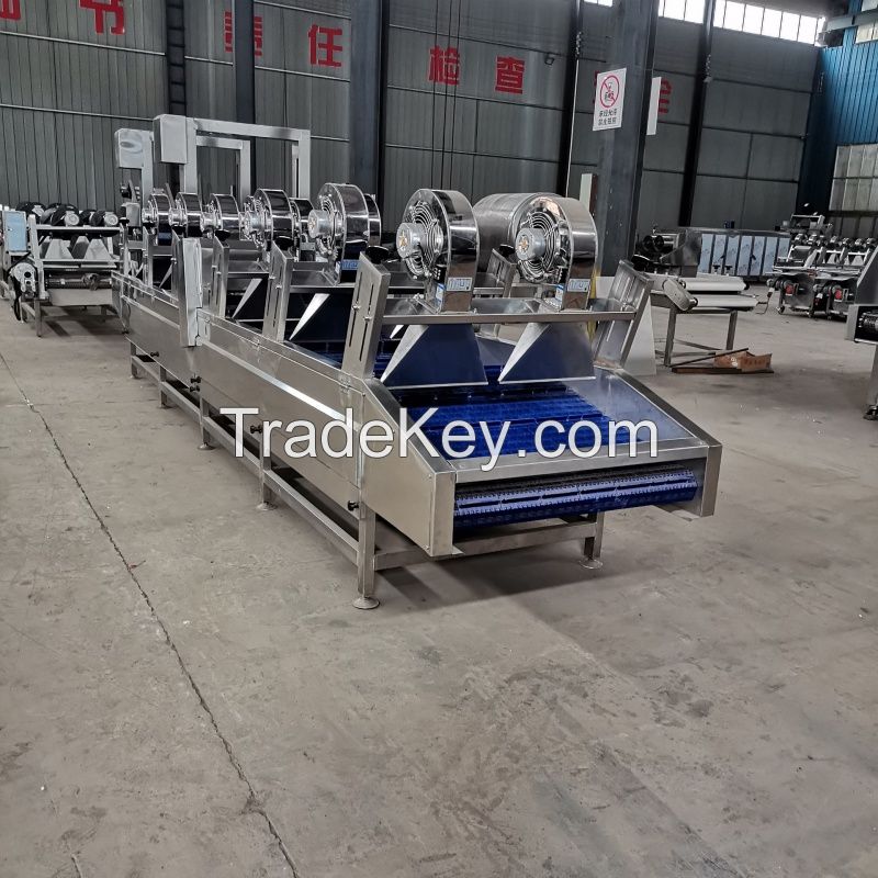 Air Dryer Conveyor