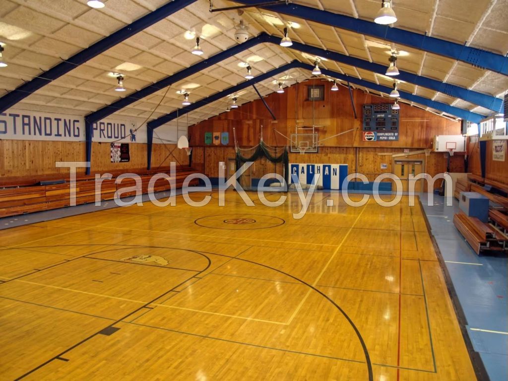 Steel Structure Basketball Court 