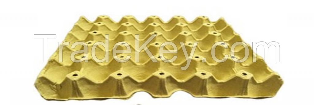 Disposable Pulp Paper 