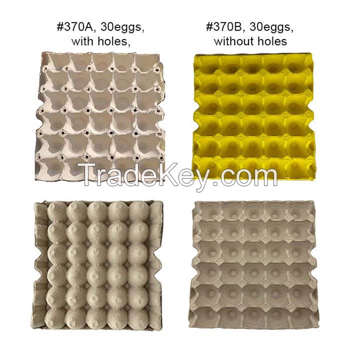 Disposable Pulp Paper 