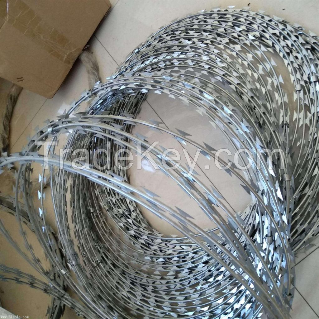 Galvanized Single Twisted Barbed Wire/Double Twisted Barbed Wire/Flat Wrap Fence Razor Wire