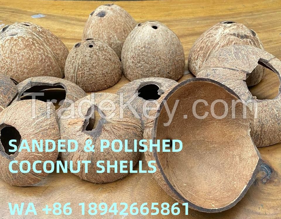 COCONUT SHELLS/CHIPS