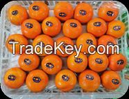 Wokam Mandarin