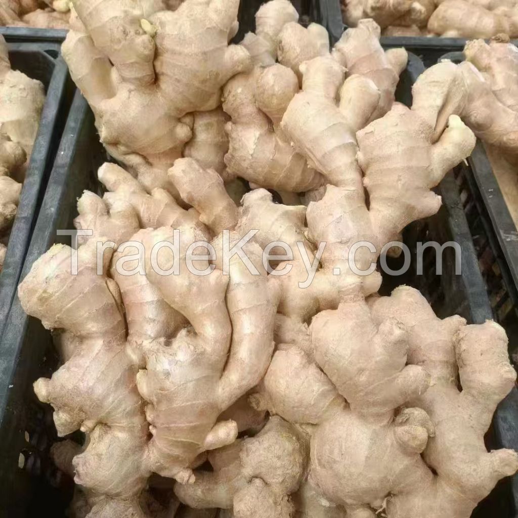 Organic  ginger