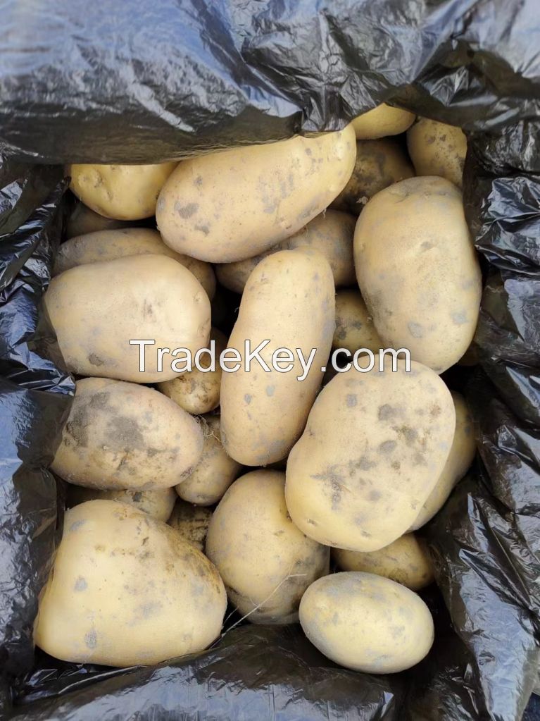 Organic  potatoes