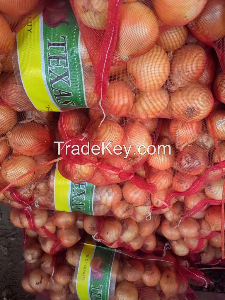 Organic  red and yellow onions