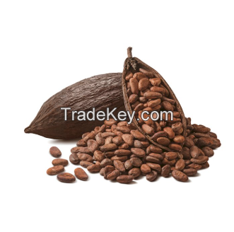 Dried Raw Cocoa Beans