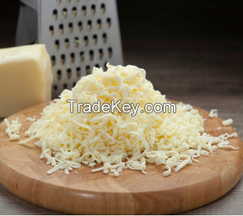 Selling Mozzarella Cheese in cheap price 