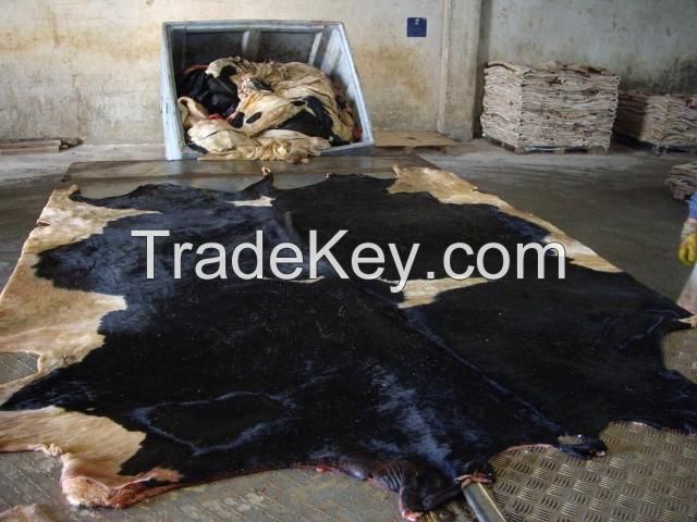 Dry And Wet Salted Cow Hides / Skins / Animal Cattle Hides