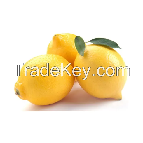 Fresh Lemon for Sale