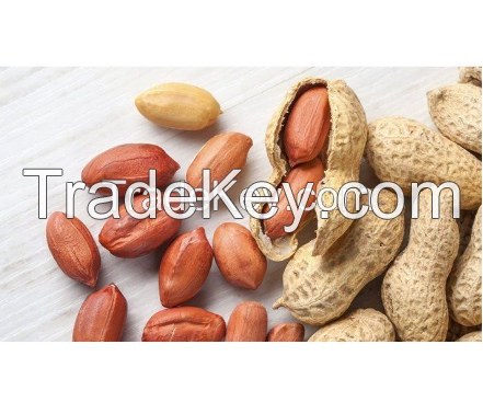 High grade non-GMO natural peanut groundnut bulk product natural raw peanuts for food