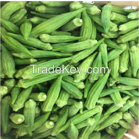 HAND-PICKED AND FRESH FROZEN OKRA / TOP QUALITY / COST-EFFECTIVE PRICE