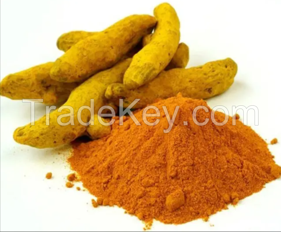 Hot Selling 100 % Pure and Natural Turmeric