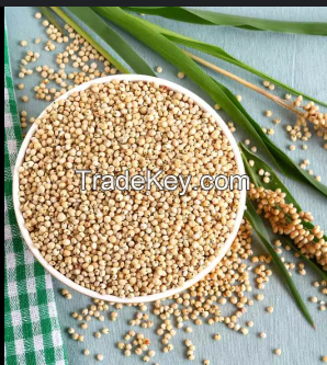 Sorghum Exporter 