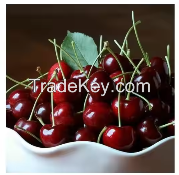 Fresh Cherries