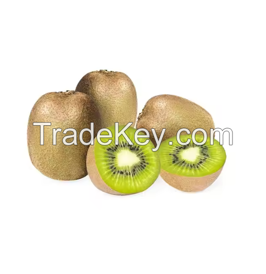 Top Quality Fresh Kiwi Fruit 