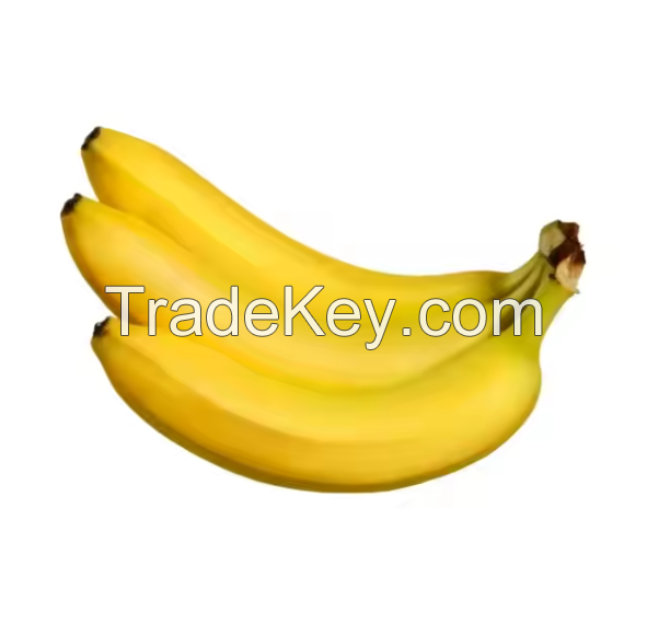 Buy Good Quality/100% Fresh Raw plantain Banana At Cheap Price