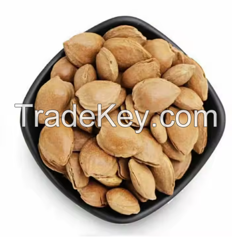 Apricot Kernels with Stone Removed Delicious Nuts for Snacking or Cooking