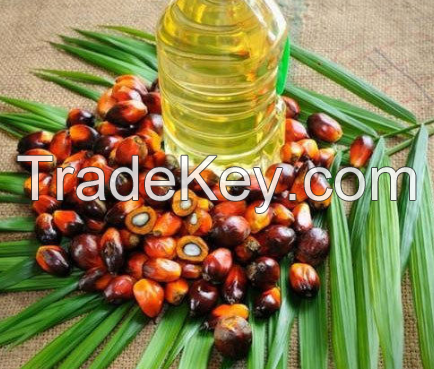 RBD Palm Oil