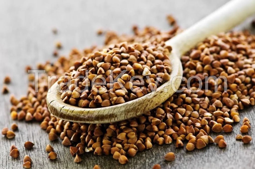 Buckwheat