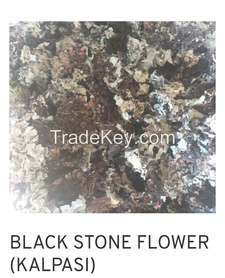 Dried black stone flower