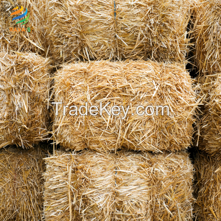 Wheat Straw