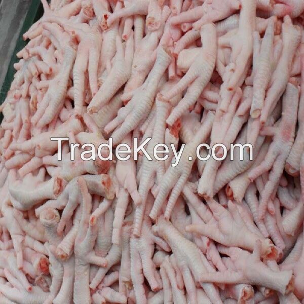 Best Quality Frozen Whole Chicken / Feet / Paws / Wings / drum stick / Frozen Chicken Feet