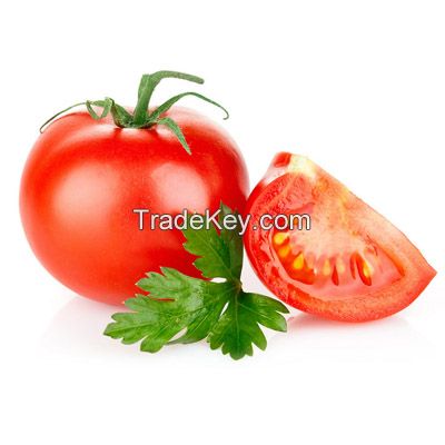 tomatoes