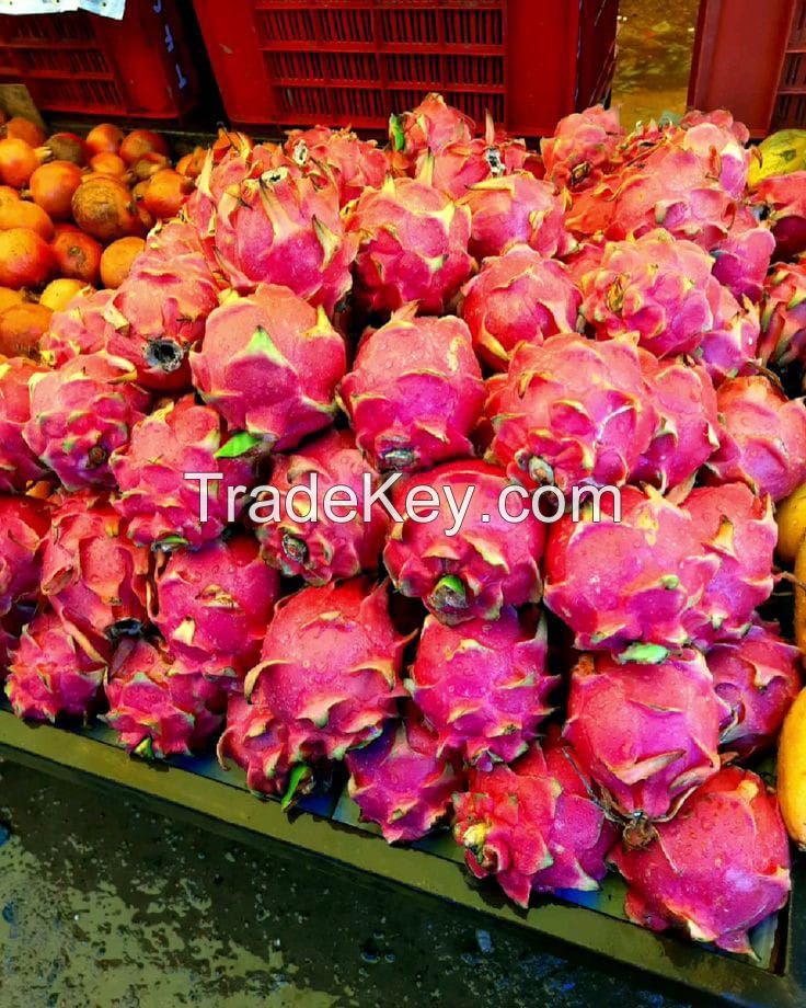 Fresh Red Dragon Fruit