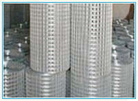 Galvanized Welded Wire Mesh