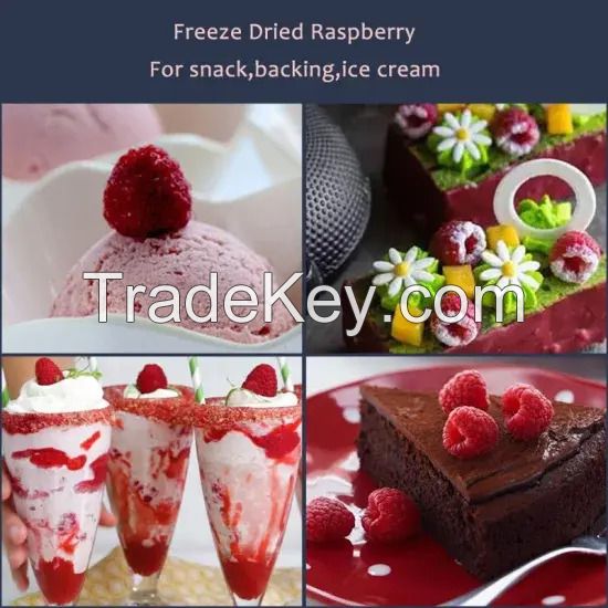 Bulk Freeze Dried Raspberry and Cranberry