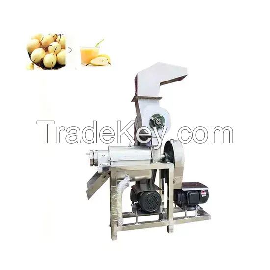 Professional Juice Extractor Machine Industrial Fruit and Vegetable Juicer for Food Processing