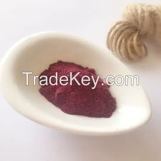 Instant Fruit Juice Powder Spraying Dried Cranberry Fruit Powder