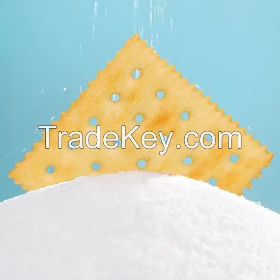 Wholesale Hot Selling Soda Biscuits Sea Salt Flavor Customized Biscuits Low Sugar Healthy Biscuits Snacks