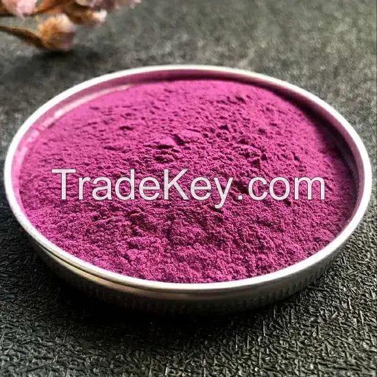 Premium Blueberry Powder for Gourmet Food and Beverage