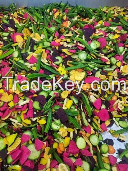 Wholesale Dried Fruit Vacuum Fried Mix Fruit and Vegetable Crisp Healthy Vegetable Snack Vf Fruit Vegetable
