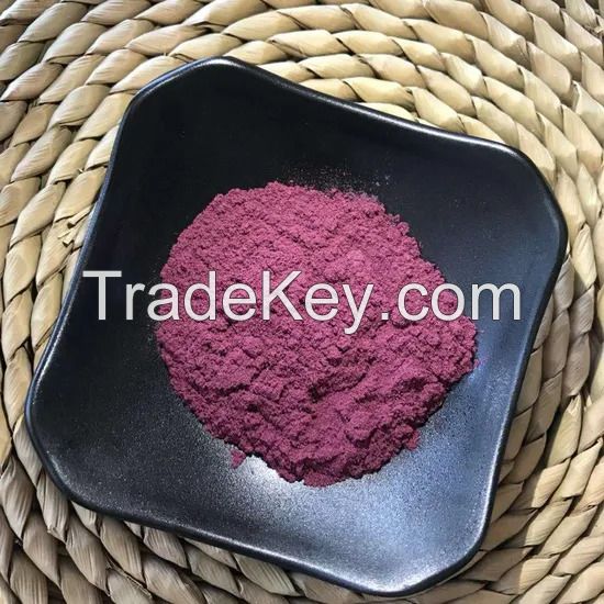 Premium Blueberry Powder for Gourmet Food and Beverage