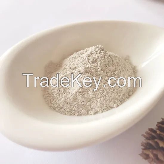 Premium Grade High Quality Sweet Taste Freeze Dried Longan Powder From Thailand