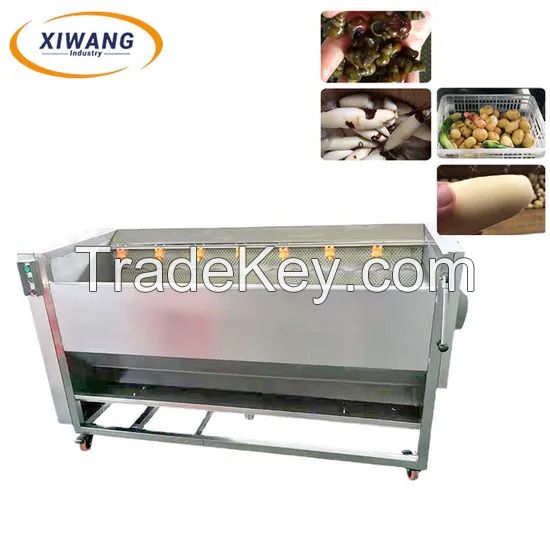 Professional Roller Brush Cleaning Equipment