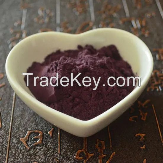 Premium Blueberry Powder for Gourmet Food and Beverage