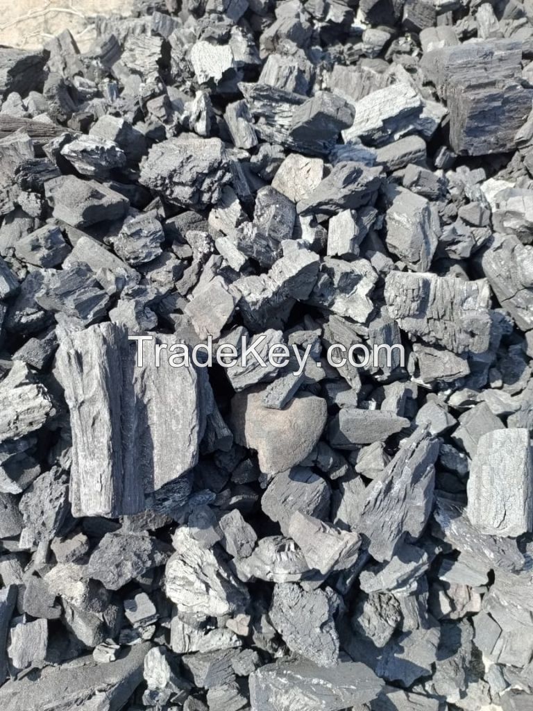 Ayin/Shisha Charcoal, Acacia Hardwood charcoal, Fingers Charcoal, Charcoal fines, Restaurant/BBQ Hardwood charcoal Grade A, And Charcoal Briquette